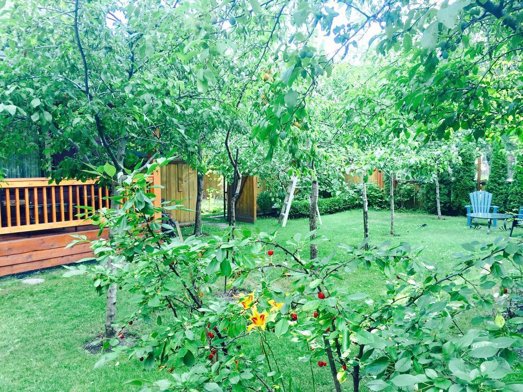 Luna Bed & Breakfast Grand Forks Buitenkant foto