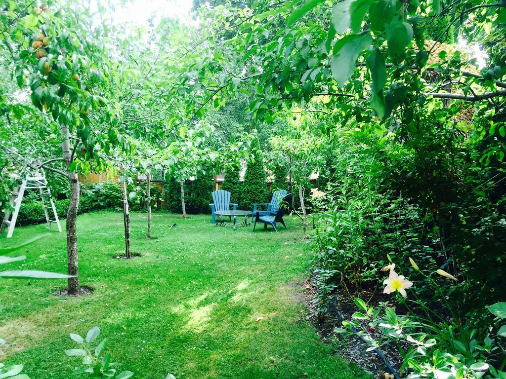 Luna Bed & Breakfast Grand Forks Buitenkant foto