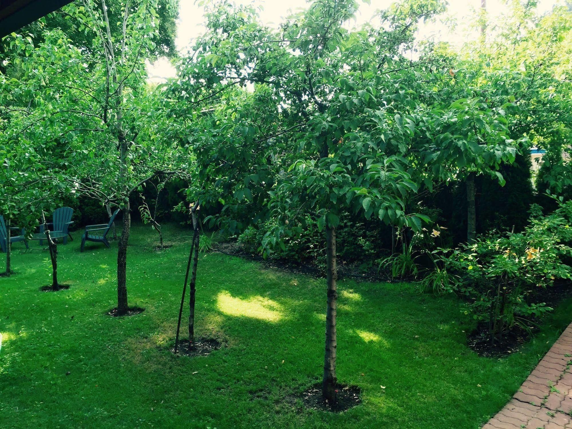 Luna Bed & Breakfast Grand Forks Buitenkant foto